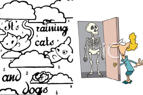 raining_catsDogs