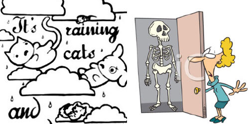 raining_catsDogs raining_catsDogs