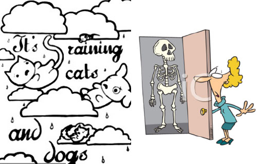 raining_catsDogs raining_catsDogs